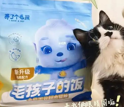口粮！三只松鼠靠什么重返宠物食品赛道CQ9电子平台入口零食巨头盯上毛孩子(图4)