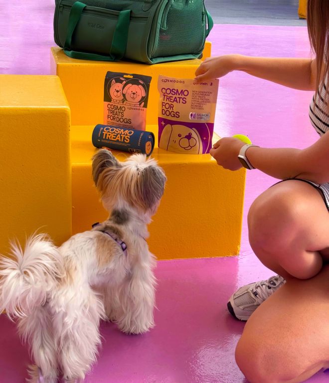 opet宠物零食以昆虫蛋白开辟全新赛道CQ9电子中国网站中俄