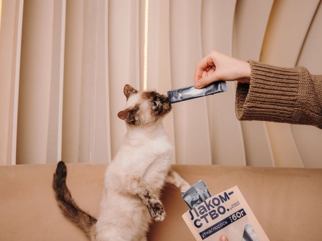 opet宠物零食以昆虫蛋白开辟全新赛道CQ9电子中国网站中俄联合品牌cosm(图2) opet宠物零食以昆虫蛋白开辟全新赛道CQ9电子中国网站中俄联合品牌cosm(图2)