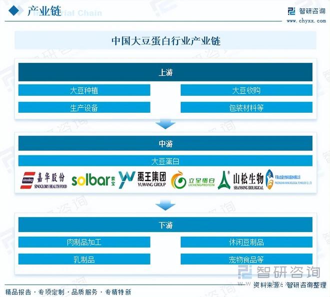 蛋白行业市场现状及未来发展前景（智研咨询